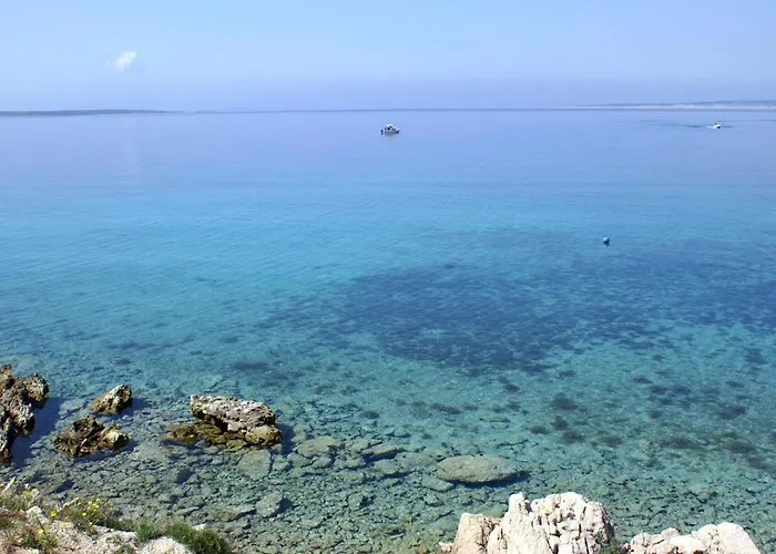 Mandre 4095a * 콜란